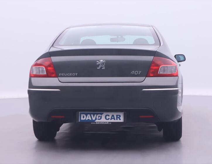 Peugeot 407 6