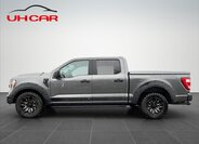 Ford F-150 Pick-up 5,0 l 298 kw