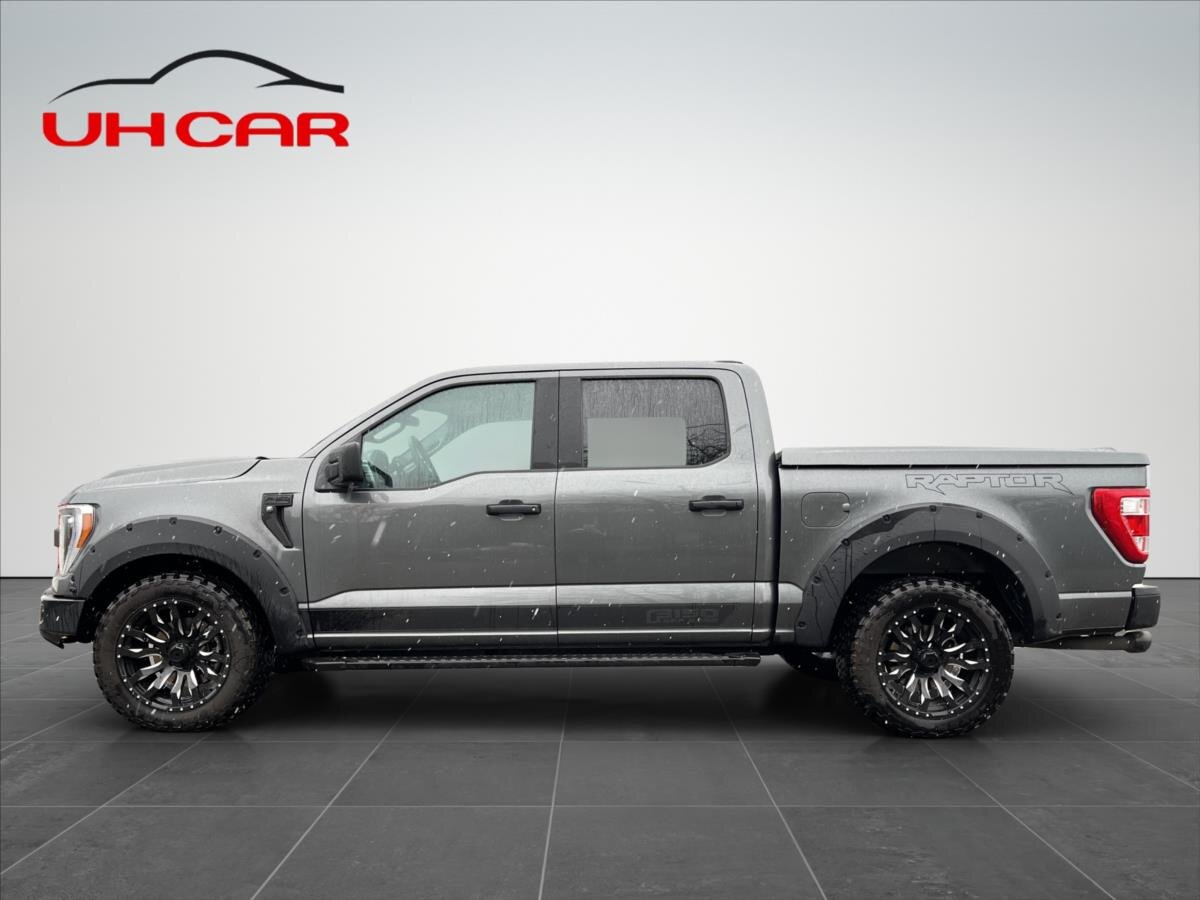 Ford F-150 Pick-up 5,0 l 298 kw