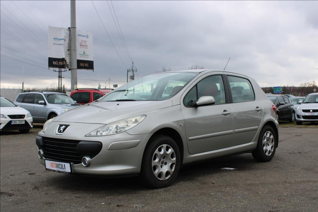 Peugeot 307 Hatchback 1,6 l 66 kw
