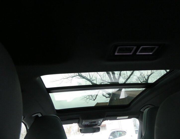 Cupra Terramar SUV 2,0 l 195 kw