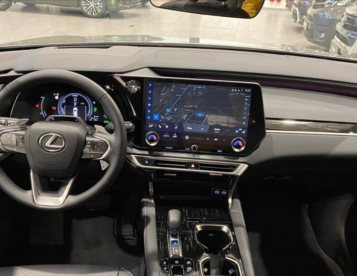Lexus RX 450h plus 15