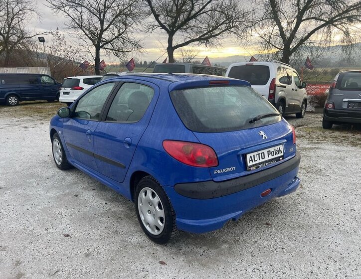 Peugeot 206 12