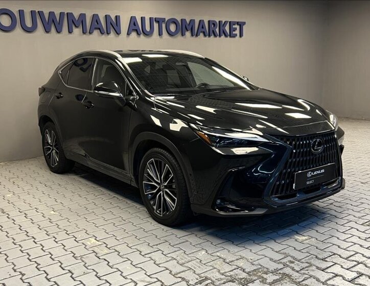 Lexus NX 450h plus 11