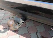 Volkswagen Touareg 31