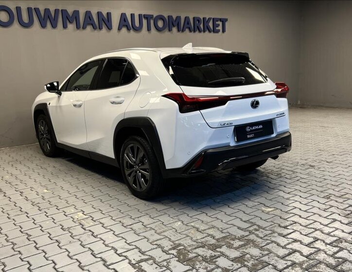Lexus UX 300h 13