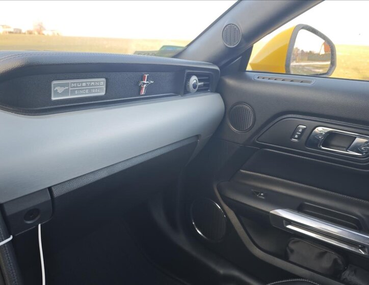 Ford Mustang Kupé 5,0 l 310 kw