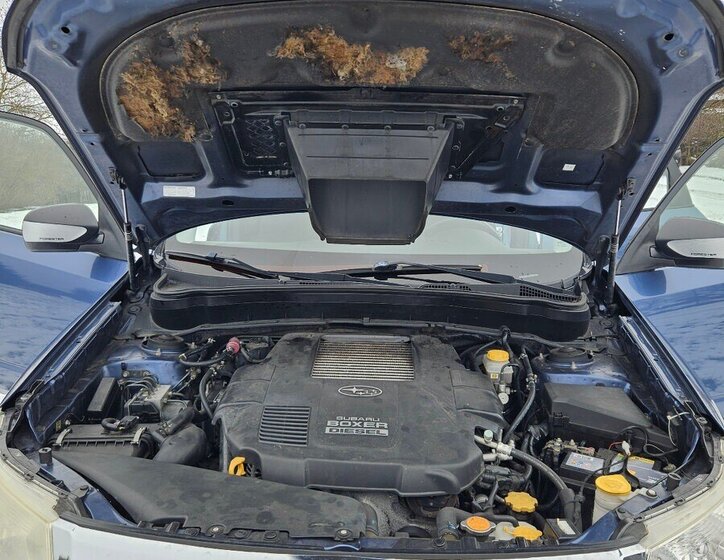 Subaru Forester SUV 0,0 0