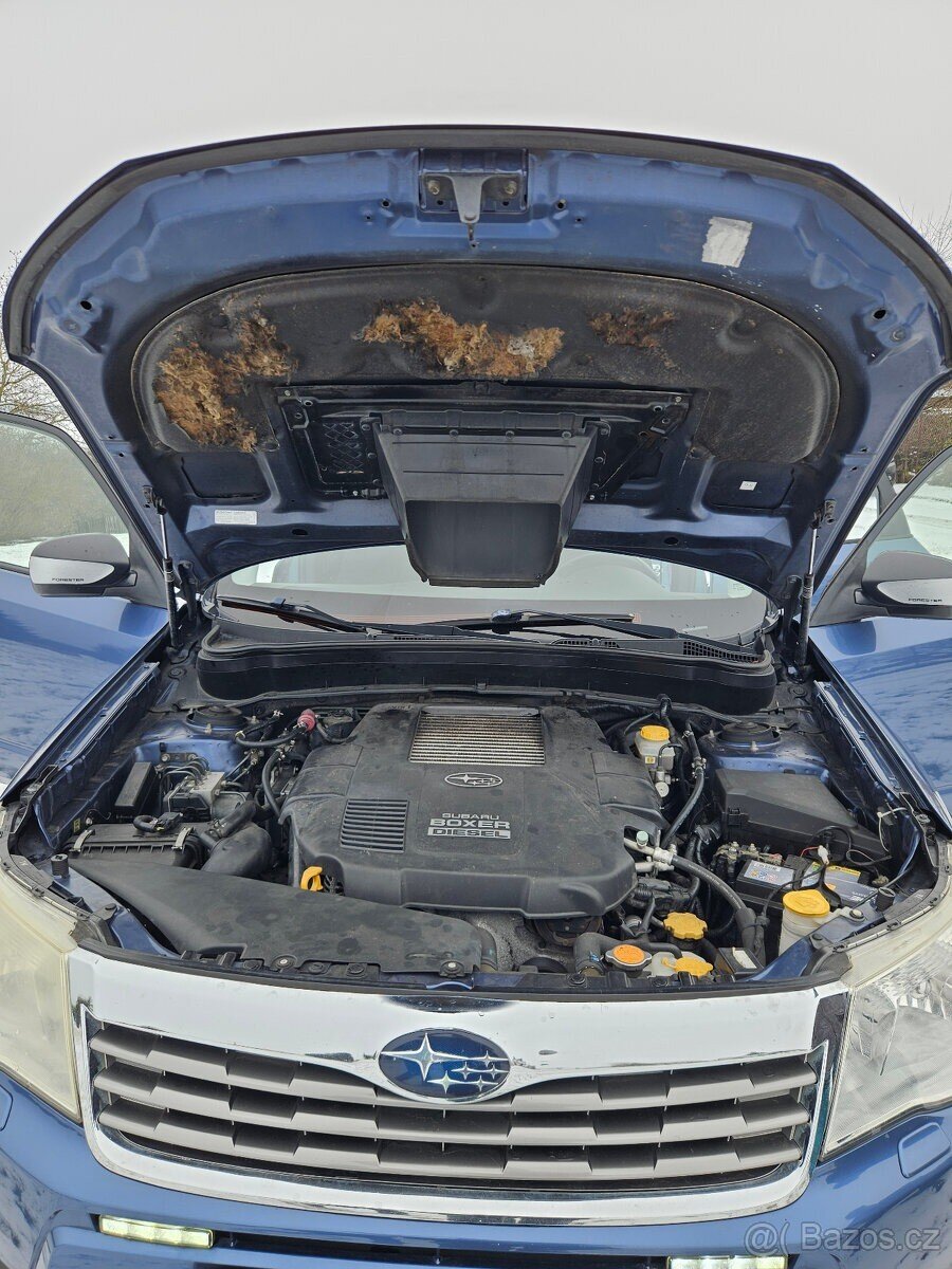 Subaru Forester SUV 0,0 0