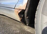 Škoda Octavia Kombi 1,9 l 77 kw