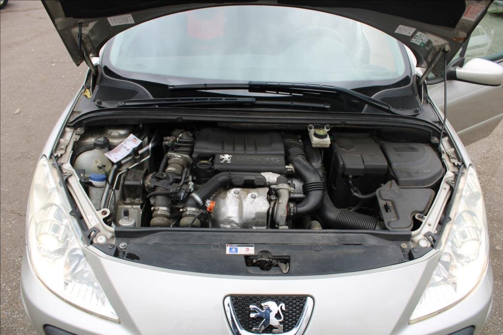 Peugeot 307 Hatchback 1,6 l 66 kw