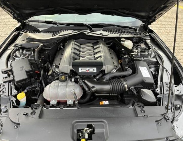 Ford Mustang Kabriolet 5,0 l 310 kw