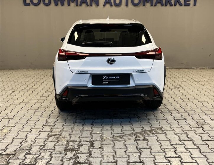 Lexus UX 300h Hatchback 2,0 l 146 kw