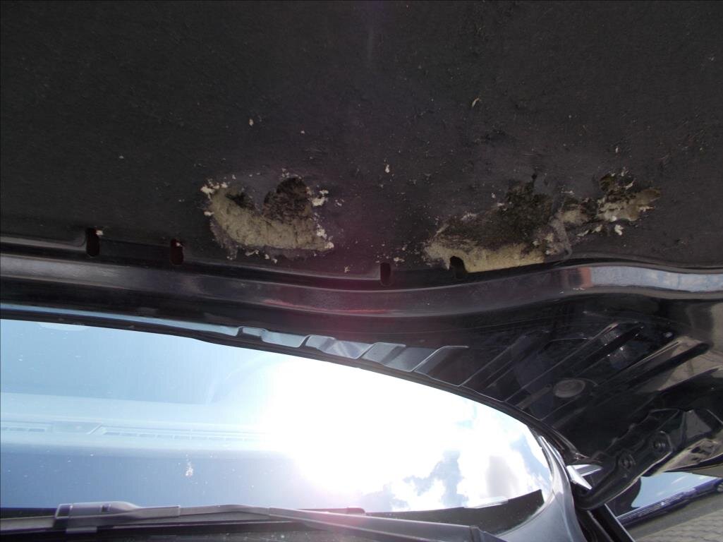 Škoda Octavia Sedan / Limuzína 2,0 l 135 kw