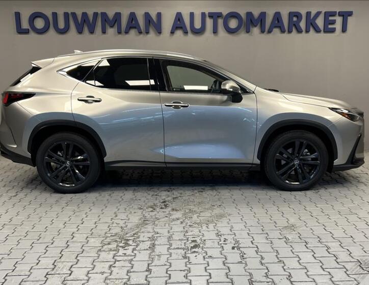 Lexus NX 350h 14