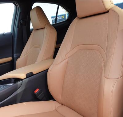 Lexus UX 250h 37