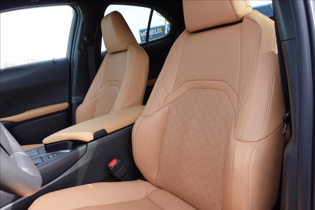 Lexus UX 250h