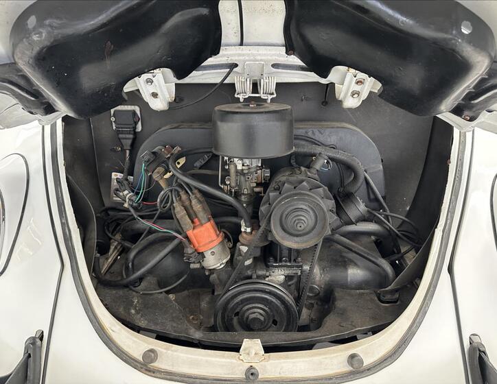 Volkswagen Beetle 23