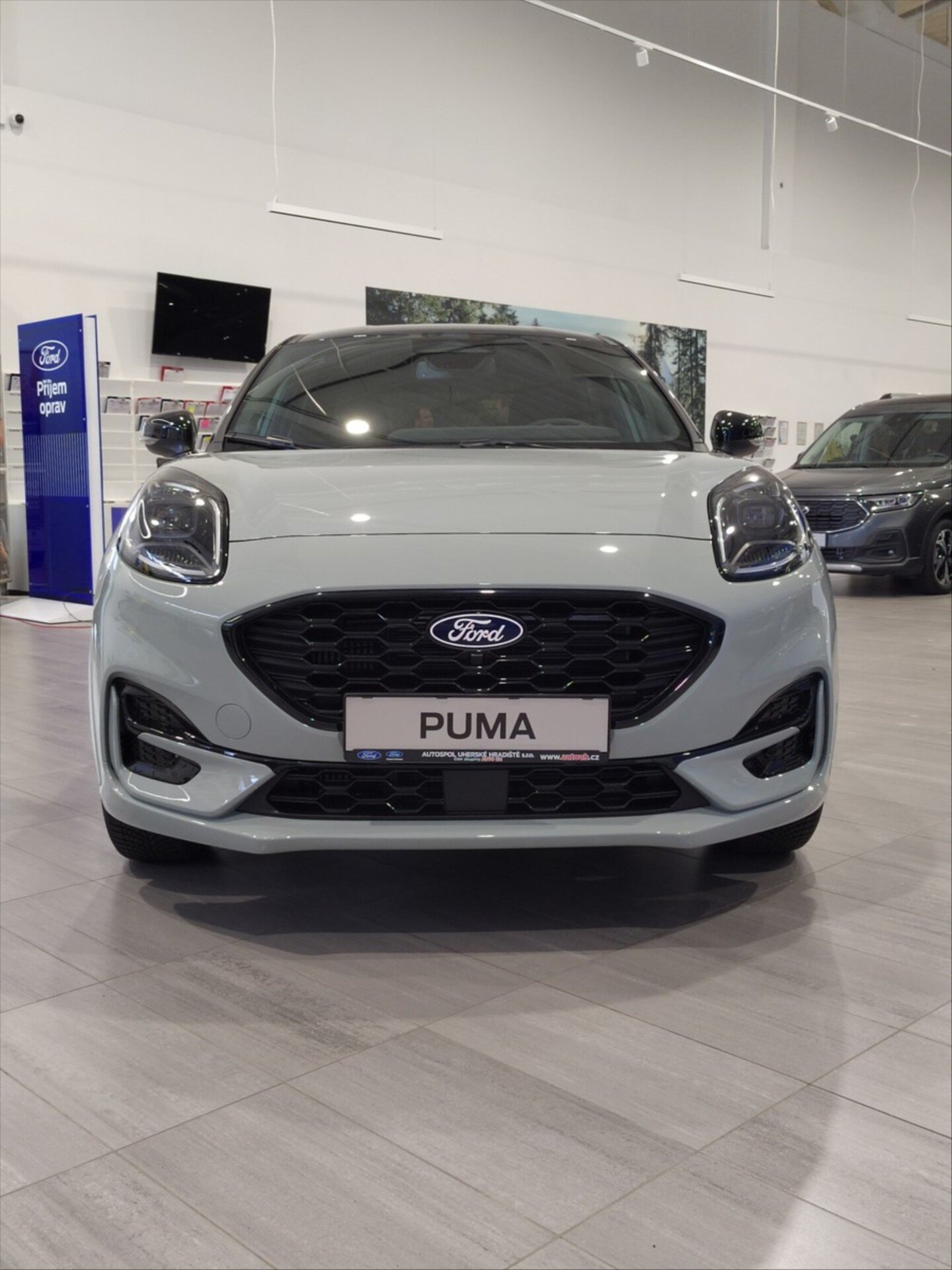 Ford Puma Ostatní 999,0 91 kw