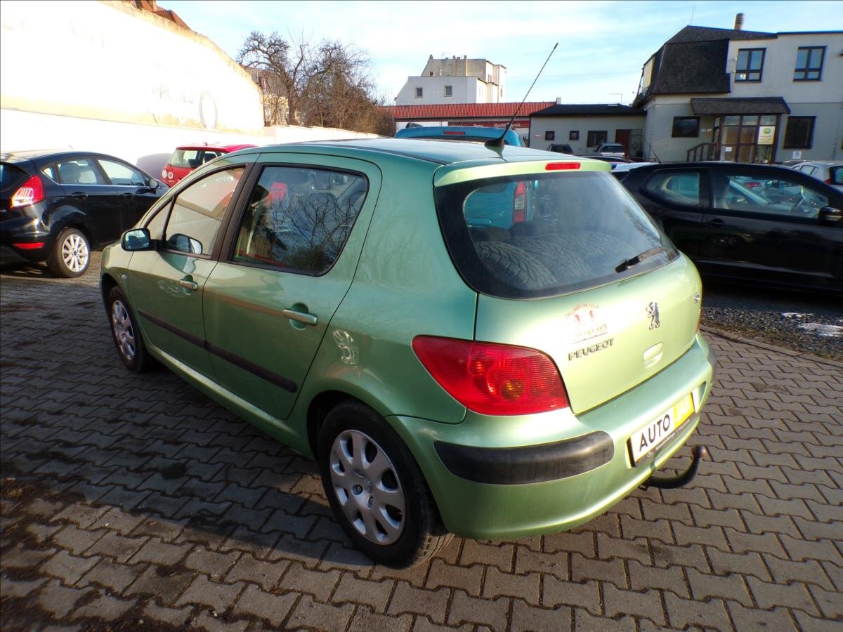 Peugeot 307 Hatchback 1,6 l 80 kw