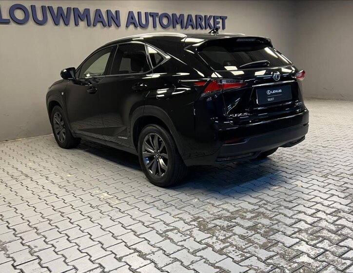 Lexus NX 300h 13