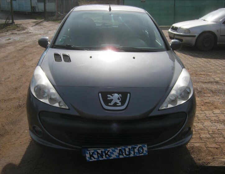 Peugeot 206 Hatchback 1,4 l 50 kw
