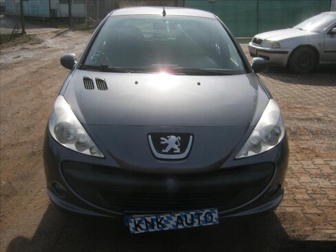 Peugeot 206 Hatchback 1,4 l 50 kw
