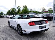 Ford Mustang 11