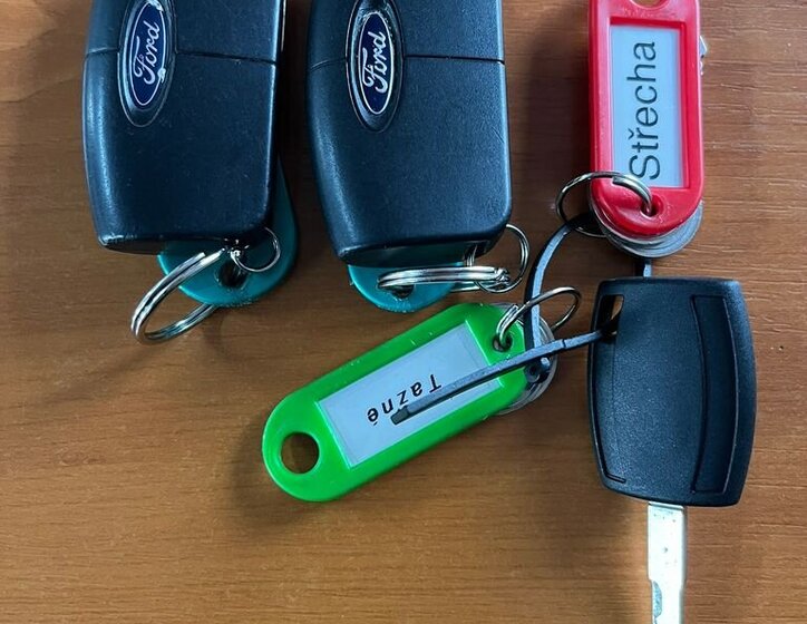 Ford Galaxy MPV 2,0 l 103 kw