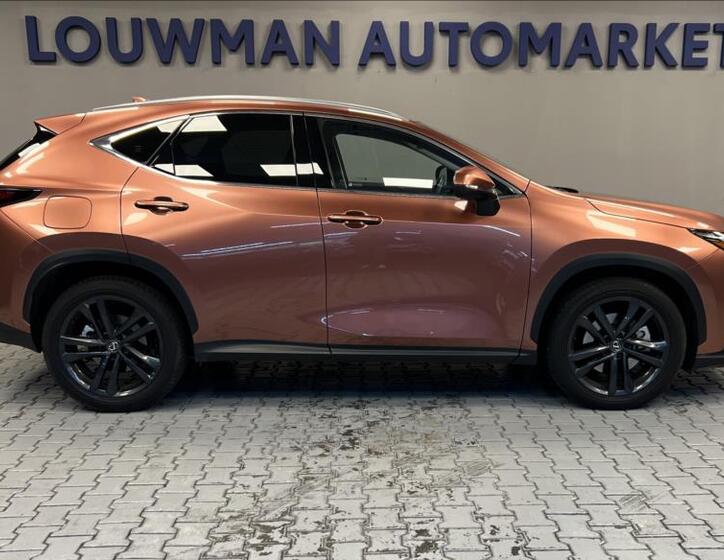 Lexus NX 450h plus 14