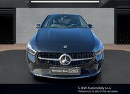 Mercedes-Benz Třídy B MPV 2,0 l 110 kw