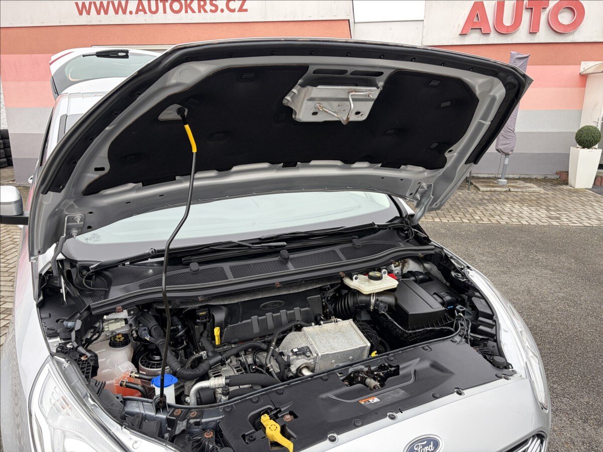 Ford S-MAX Kombi 2,0 l 110 kw