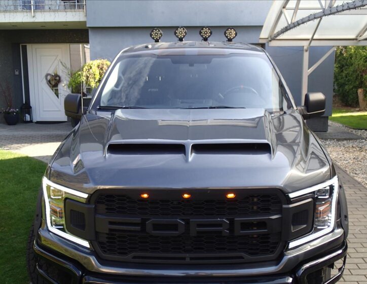 Ford F-150 Pick-up 5,0 l 287 kw