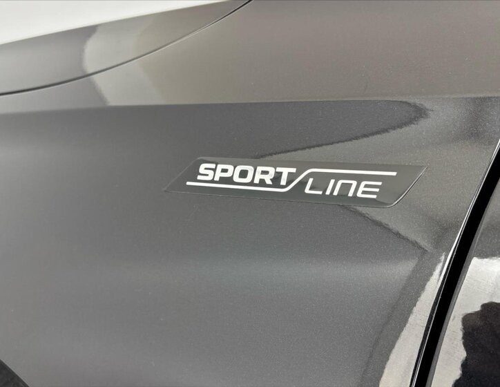 Škoda Kodiaq SUV / Terénní 2,0 l 142 kw