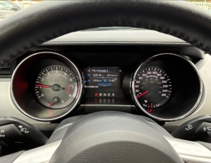 Ford Mustang Kabriolet 5,0 l 310 kw