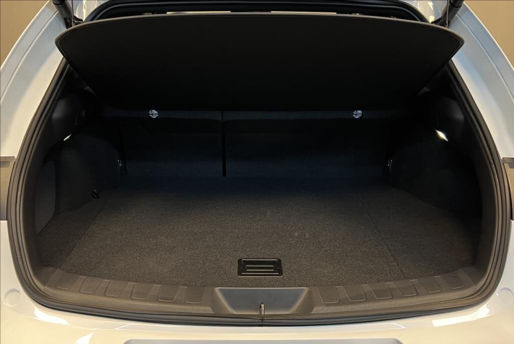 Lexus UX 300h Hatchback 2,0 l 146 kw