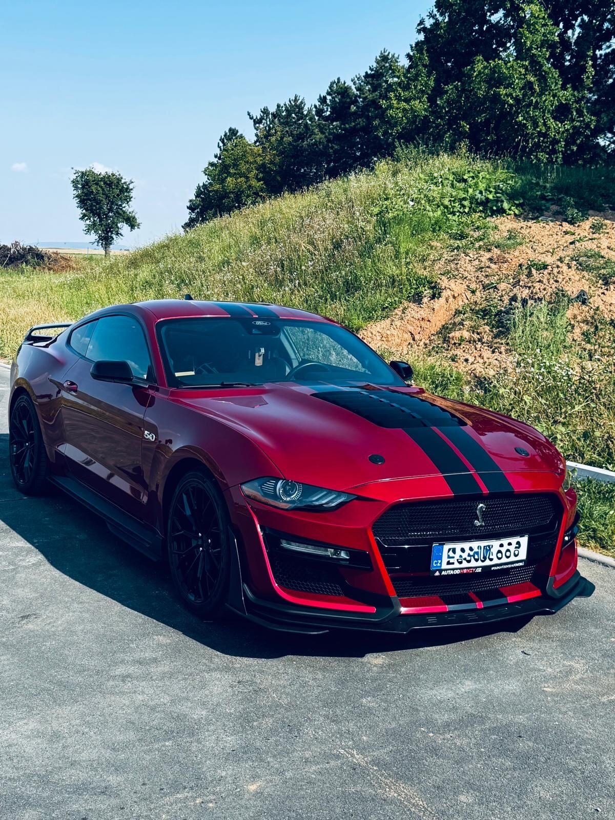 Ford Mustang Kupé 5,1 l 330 kw