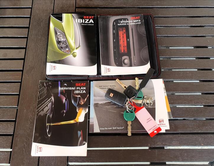Seat Ibiza 38