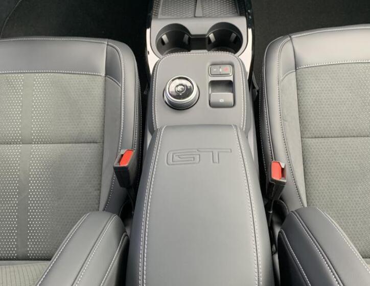 Ford Mustang Mach-E 17