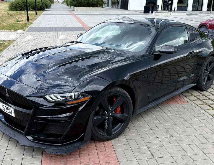 Ford Mustang Kupé 5,0 l 310 kw