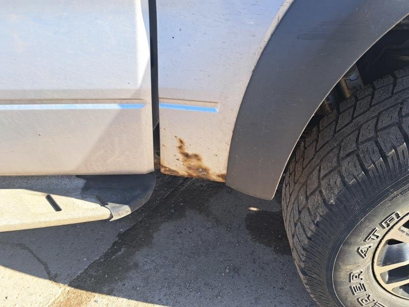 Ford F-150 Pick-up 6,2 l 306 kw