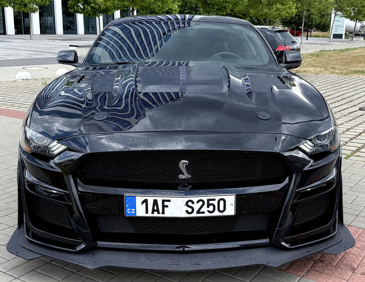 Ford Mustang Kupé 5,0 l 310 kw