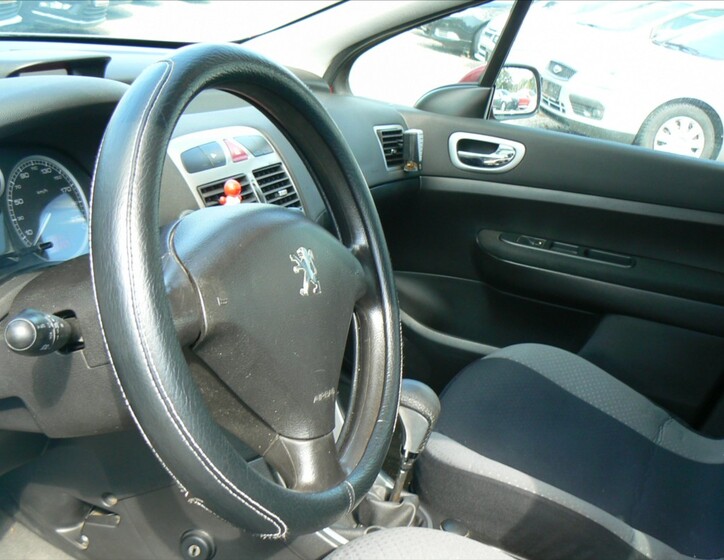 Peugeot 307 10