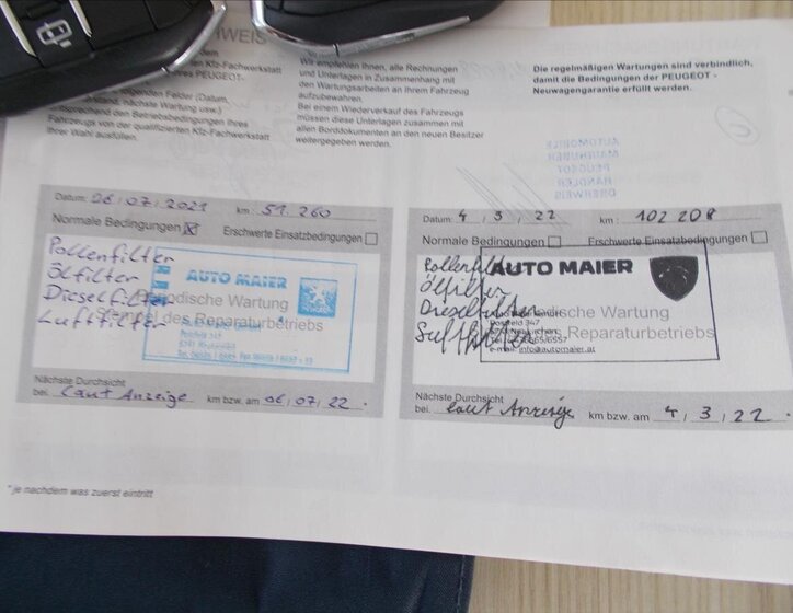 Peugeot Traveller 39