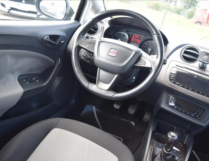 Seat Ibiza 29