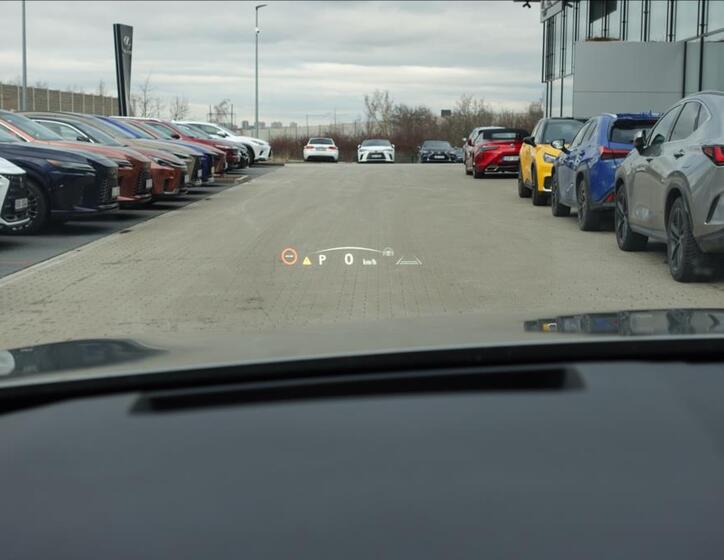 Lexus RX 450h plus 36