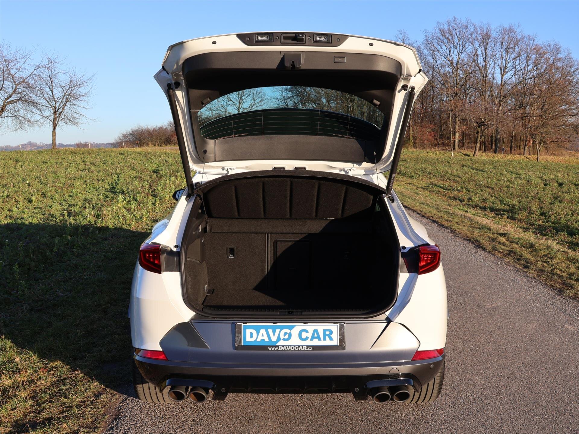 Cupra Formentor SUV 2,0 l 228 kw