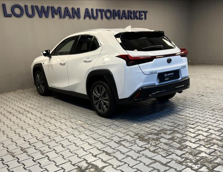 Lexus UX 300h 13