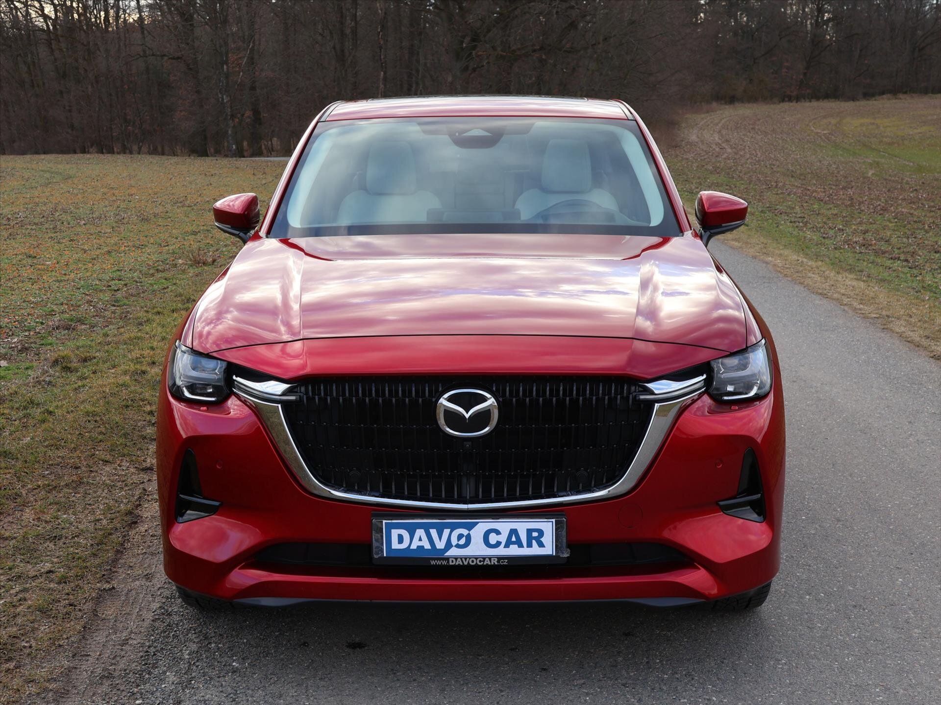 Mazda CX-60 SUV / Terénní 3,3 l 187 kw