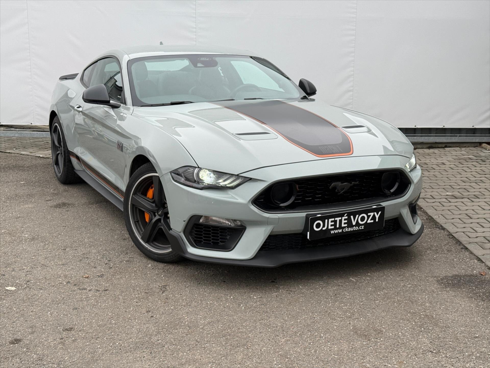 Ford Mustang Kupé 5,0 l 338 kw